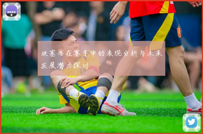 坎塞洛在赛季中的表现分析与未来发展潜力探讨
