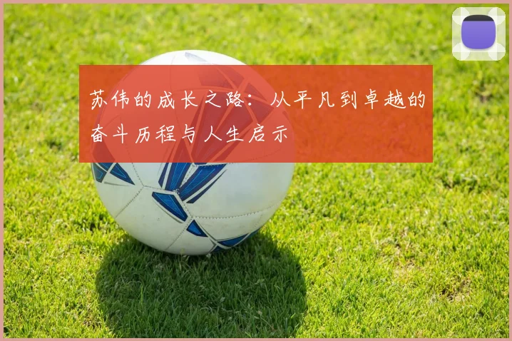 苏伟的成长之路：从平凡到卓越的奋斗历程与人生启示