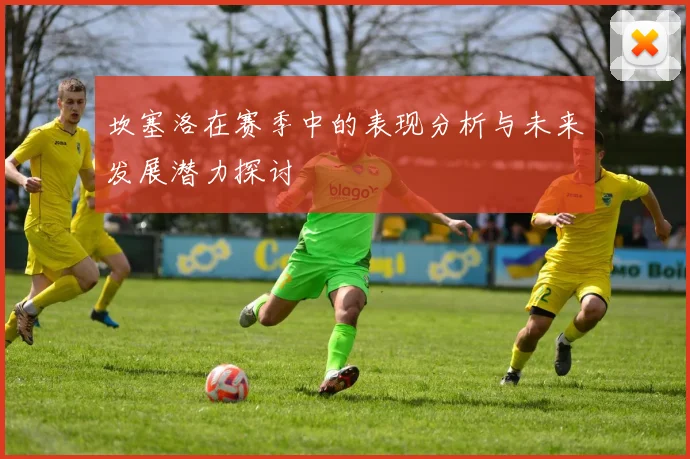 坎塞洛在赛季中的表现分析与未来发展潜力探讨